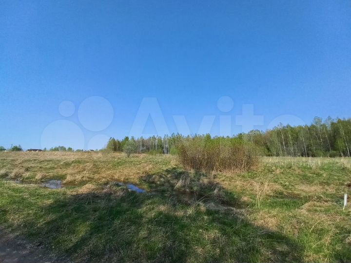 Участок 50 сот. (ИЖС)