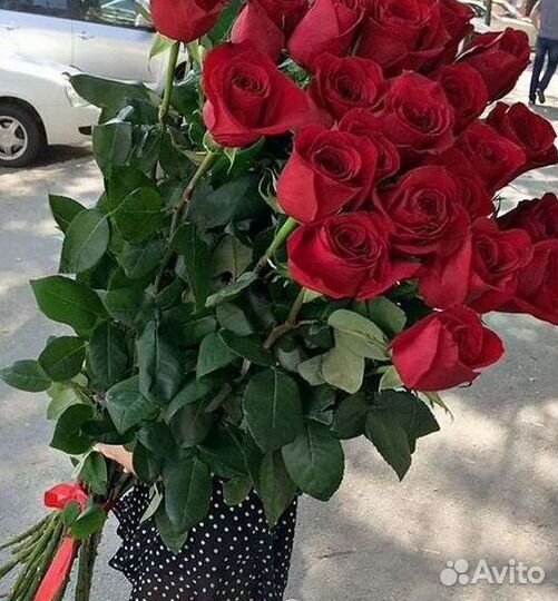 Высокие розы Гигантские розы Доставка цветов