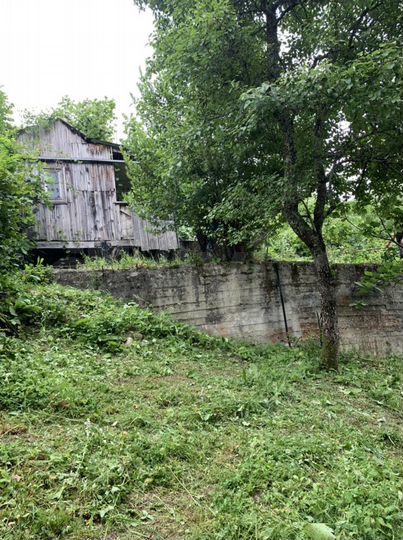 Участок 5,9 сот. (СНТ, ДНП)