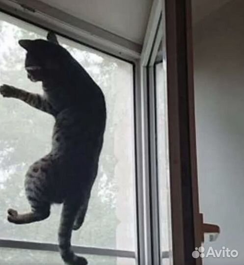 Ремонт пластиковых окон / москитные сетки