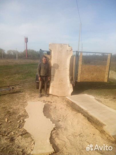 Слэбы,спилы