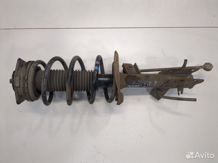 Амортизатор подвески Nissan Qashqai, 2009