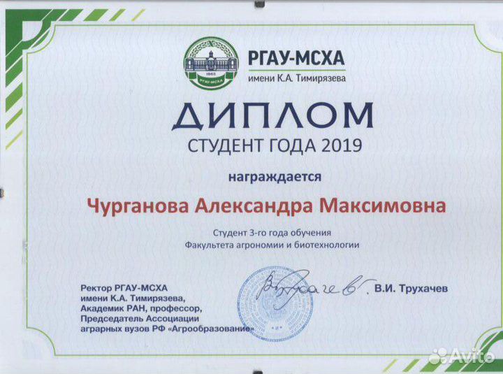 Репетитор/Помощь в выполнении домашних заданий/Огэ