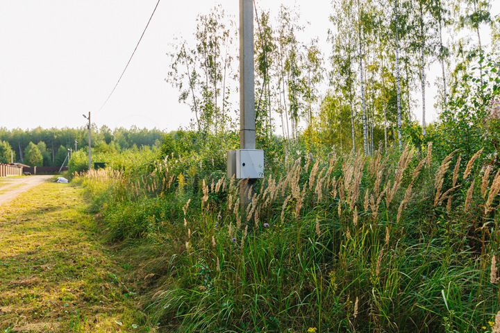 Участок 25 сот. (СНТ, ДНП)