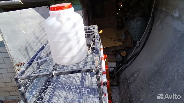 Клетка для птицы