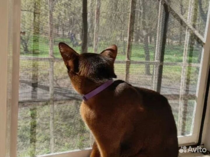 Антимосткитные сетки на окна от производителя