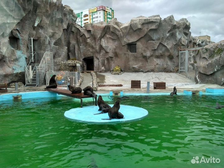 Едем в Ижевск из Уфы: тур для родителей с детьми