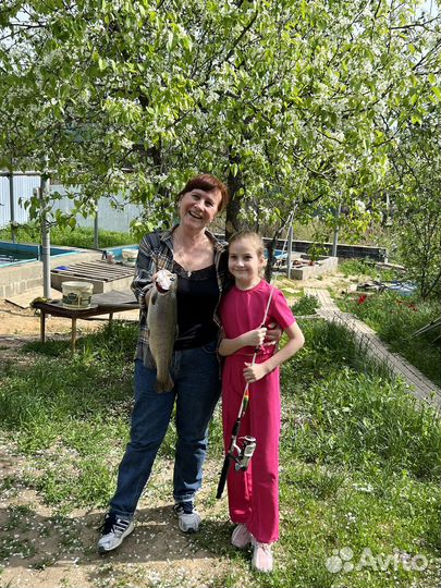 Форель живая