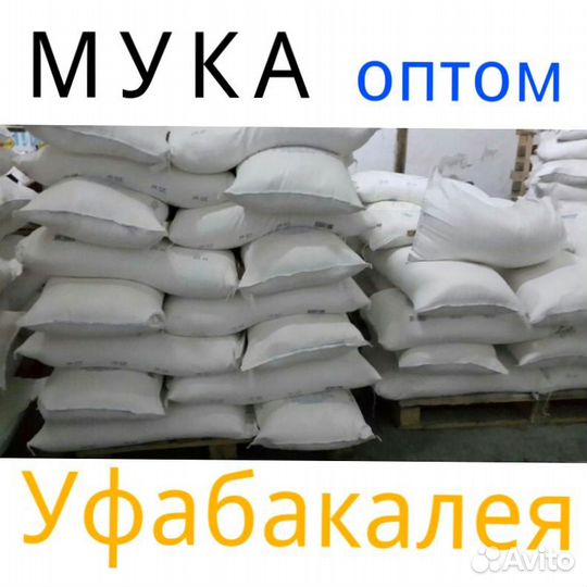 Мука