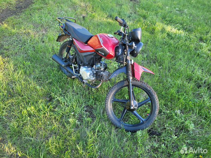 Alpha kometa 110