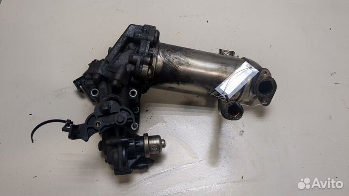 Охладитель отработанных газов Ford Transit (Tourne