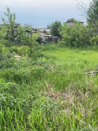 Участок 5 сот. (ИЖС)