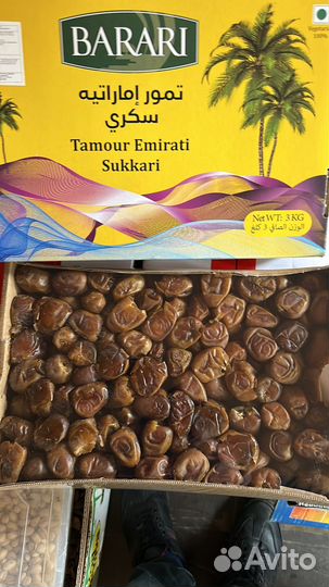 Финики сукари