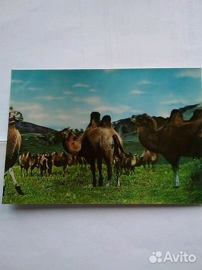 Наборы открыток