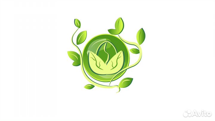 Иллюстратор