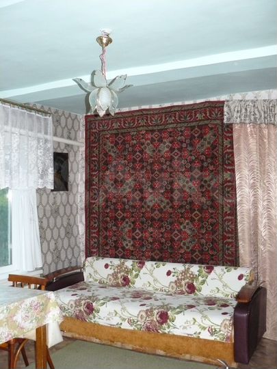 Дом 55 м² на участке 45 сот.