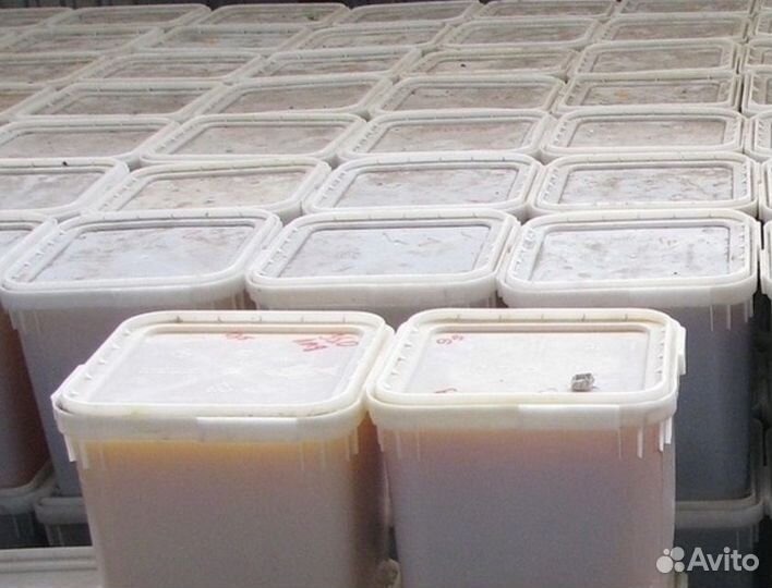 Мед разнотравье светлое оптом