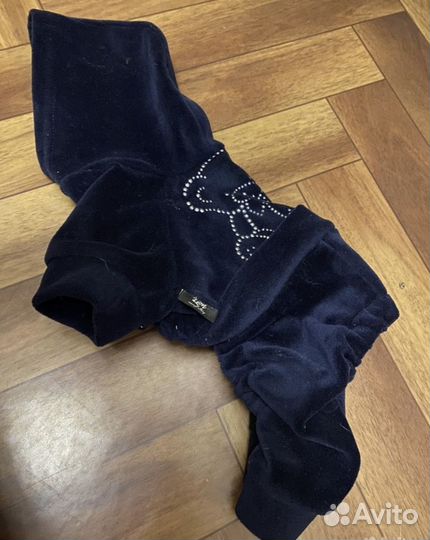 Одежда для собак мелких пород