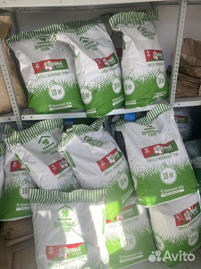 Семена многолетних трав