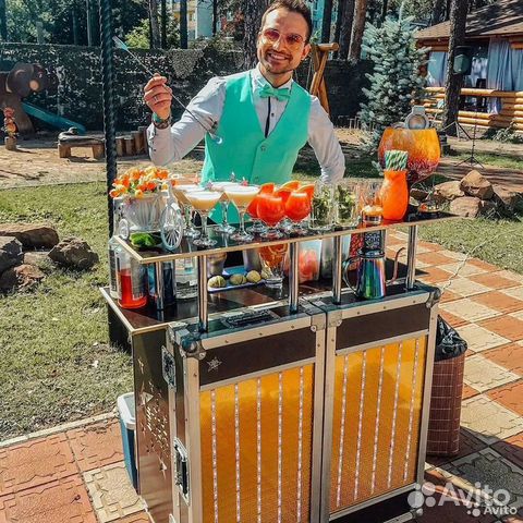 Мобильный бар (Базовый)