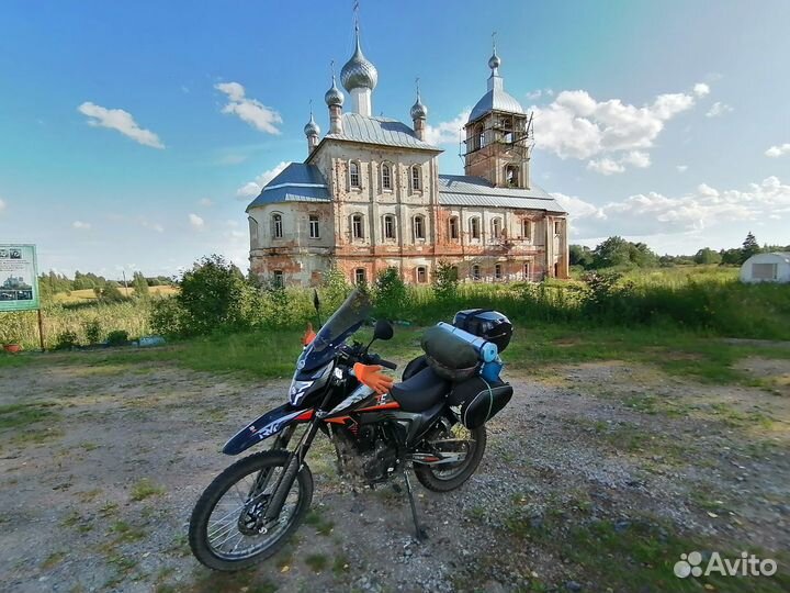 Регульмото те 250