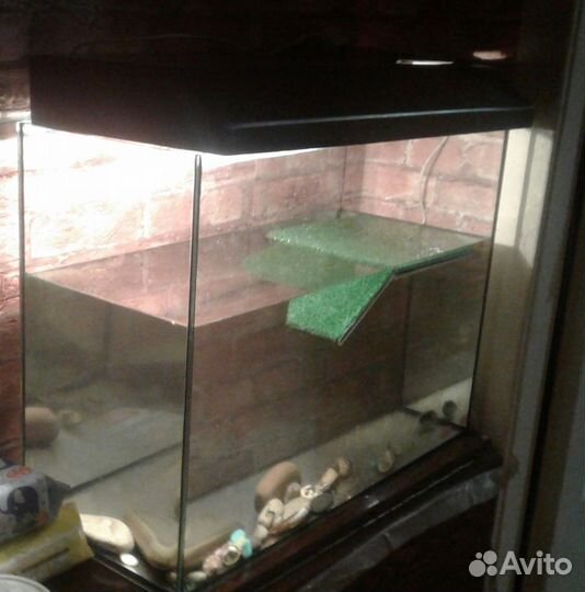 Аквариум- террариум для красноухой черепахи