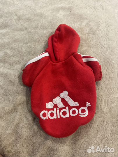 Одежда для животных