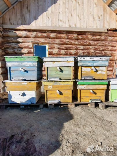 Ульи для пчел на 16 рам