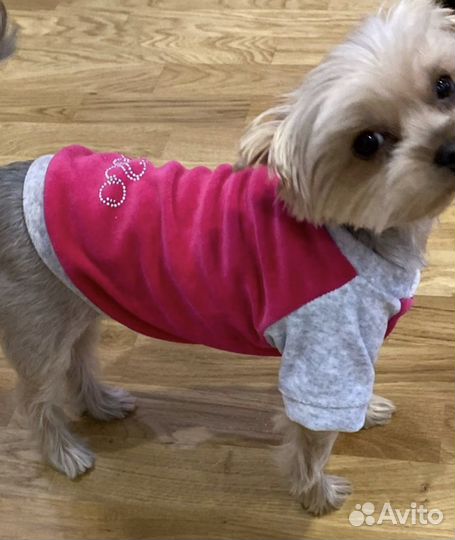 Кофта-толстовка для собак