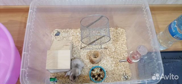 Домик для хомяков