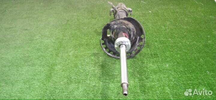 Амортизатор передний левый Nissan Micra K12E