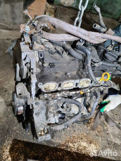 Двигатель Nissan Juke F15 1.6 DDT 2011