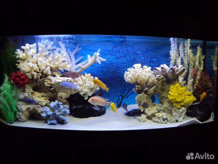 Чистка аквариума