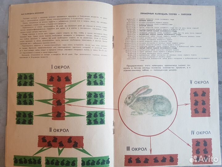 Памятка кроликовода. Портнов Г. -1974