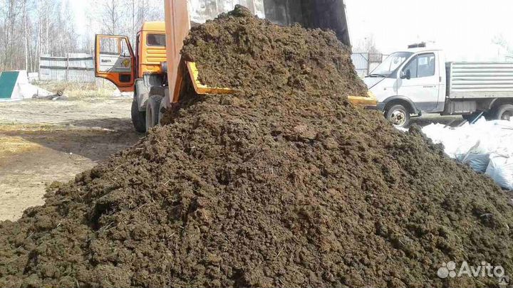 Коровий перегной, сыпучий навоз