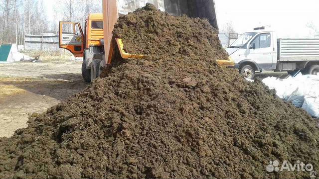 Коровий перегной, сыпучий навоз