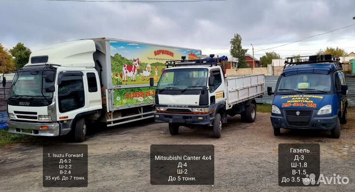 Глаза говяжьи