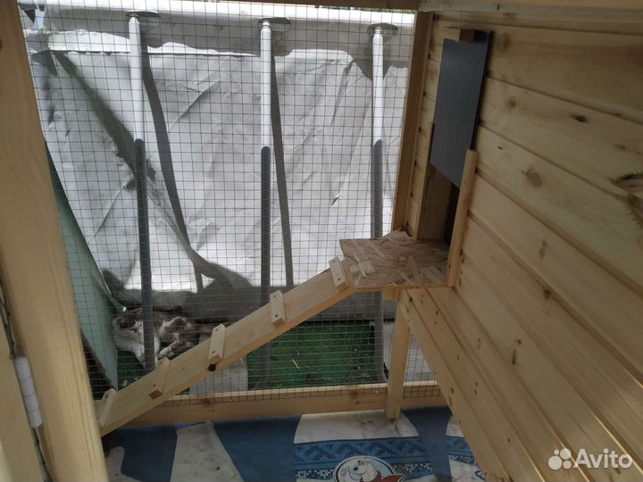 Компактный курятник для семьи не крупных курочек