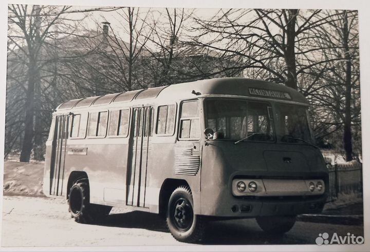 Фотографии автобусов