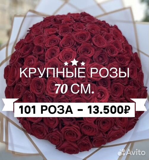 Букет из 101 крупной розы