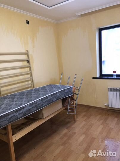 Уничтожение клопов, тараканов, блох, кожеедов, мух