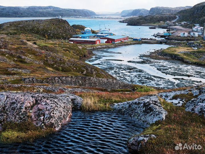 Экскурсия — Мурманск — Териберка— открыть неистову