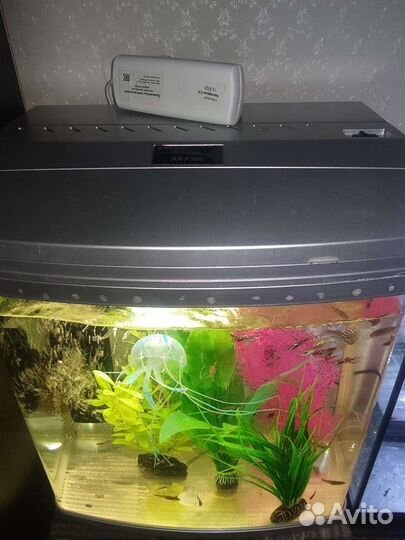 Аквариум