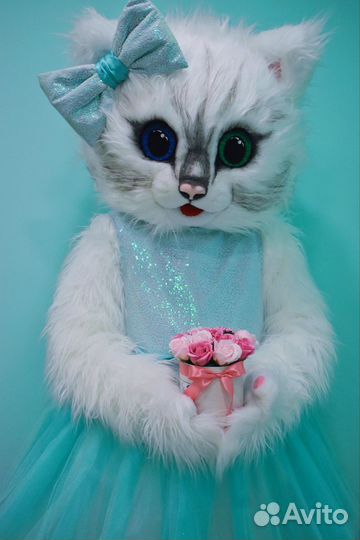 Экспресс поздравление от ласковой кошечки и зайки