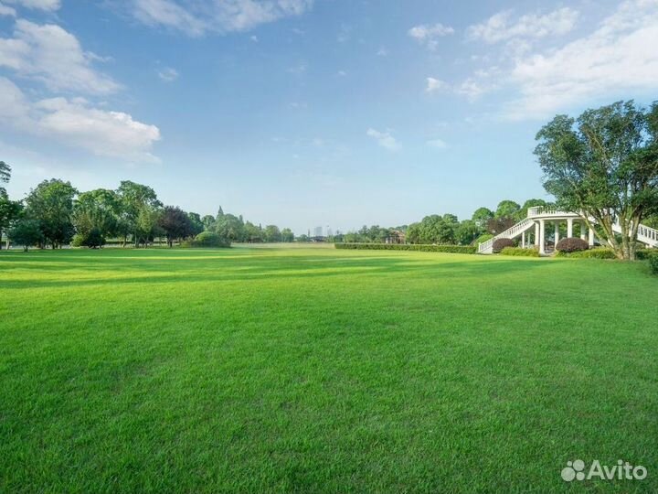 Укладка рулонного газона стандарт