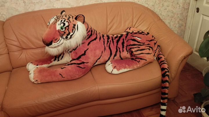 Ракушка,тигр