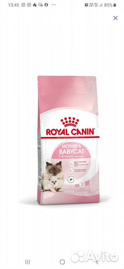 Корм для кошек