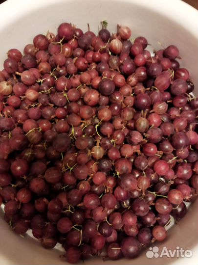 Крыжовник ягоды, белая смородина ягоды