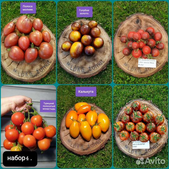 Семена коллекционных томатов