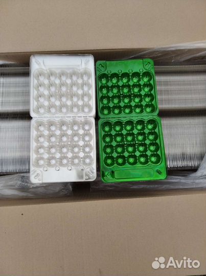 Контейнер для перепелиных яиц